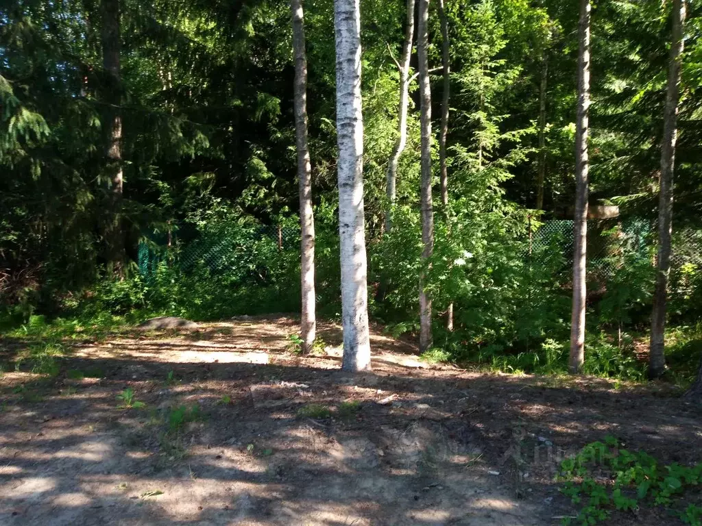 Участок в Ленинградская область, Всеволожский район, Агалатовское ... - Фото 1