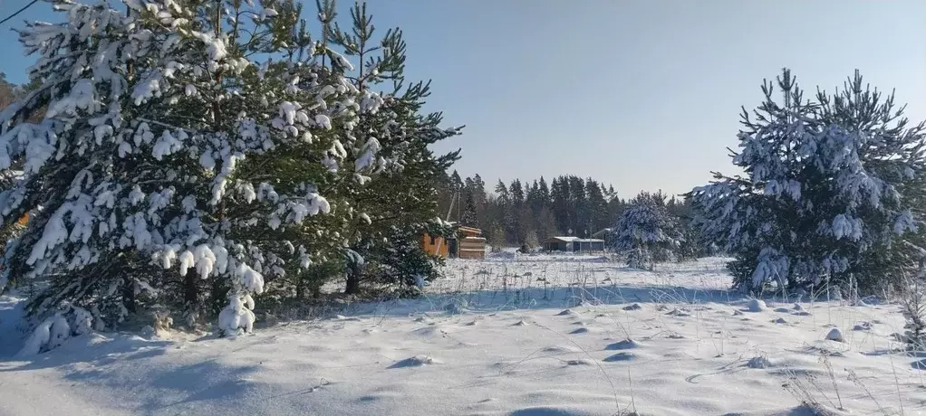 Участок в Ленинградская область, Приозерский район, Красноозерное ... - Фото 0