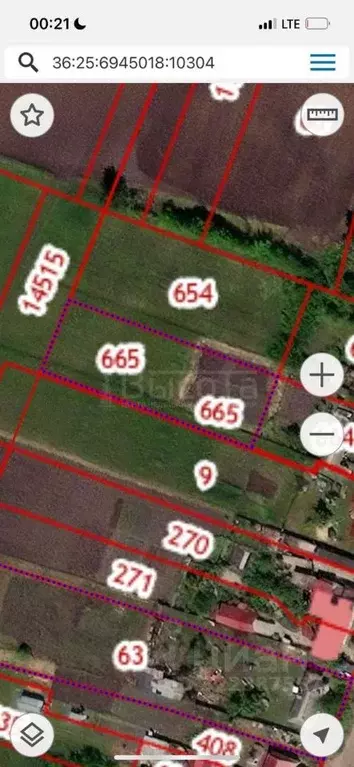 Участок в Воронежская область, Рамонский район, с. Новоживотинное ул. ... - Фото 2