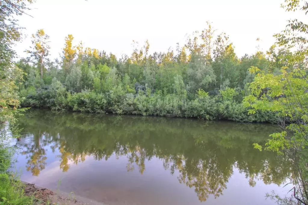 Участок в Алтайский край, Первомайский район, пос. Покровка, Строитель ... - Фото 1