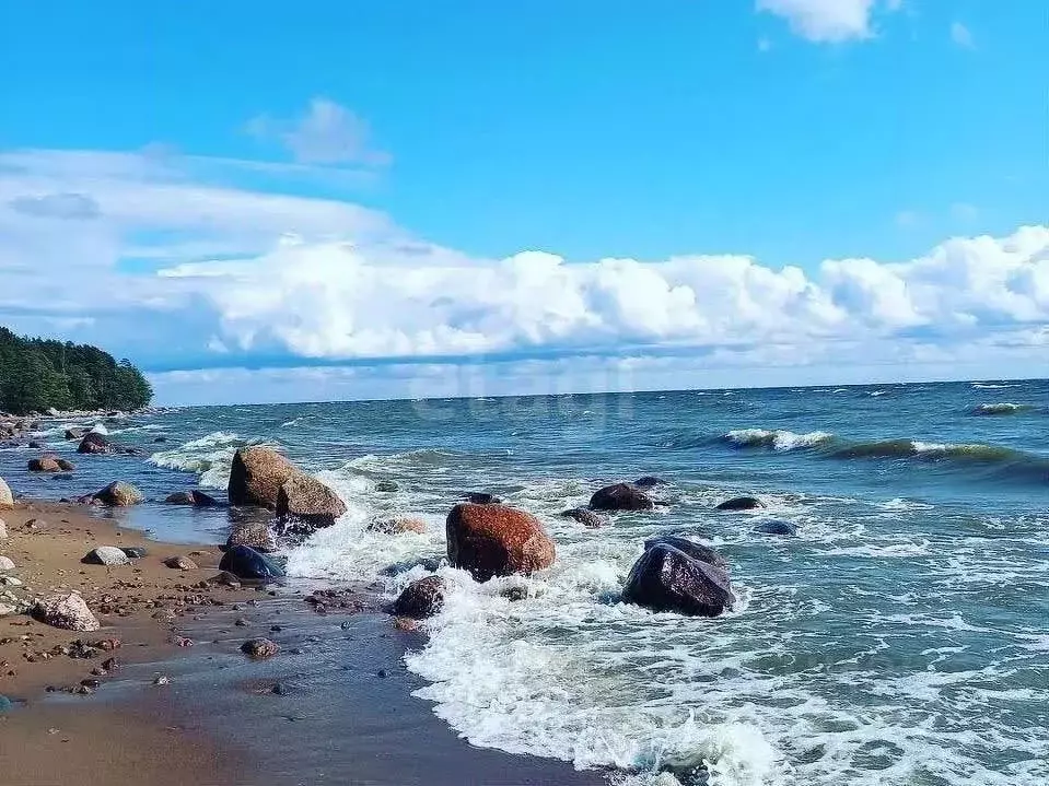 Участок в Ленинградская область, Выборгский район, Полянское с/пос, ... - Фото 0