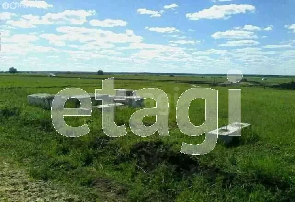 Участок в Тюменский муниципальный округ, деревня Есаулова, Дружный ... - Фото 2