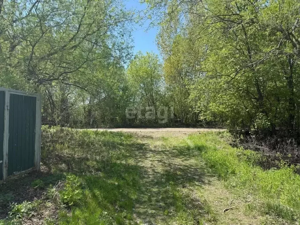 Дом в Еврейская автономная область, Смидовичский район, с. ... - Фото 2