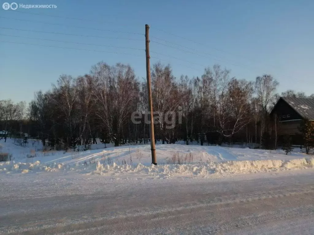 Участок в Зареченское сельское поселение, село Реутинское (15 м) - Фото 0