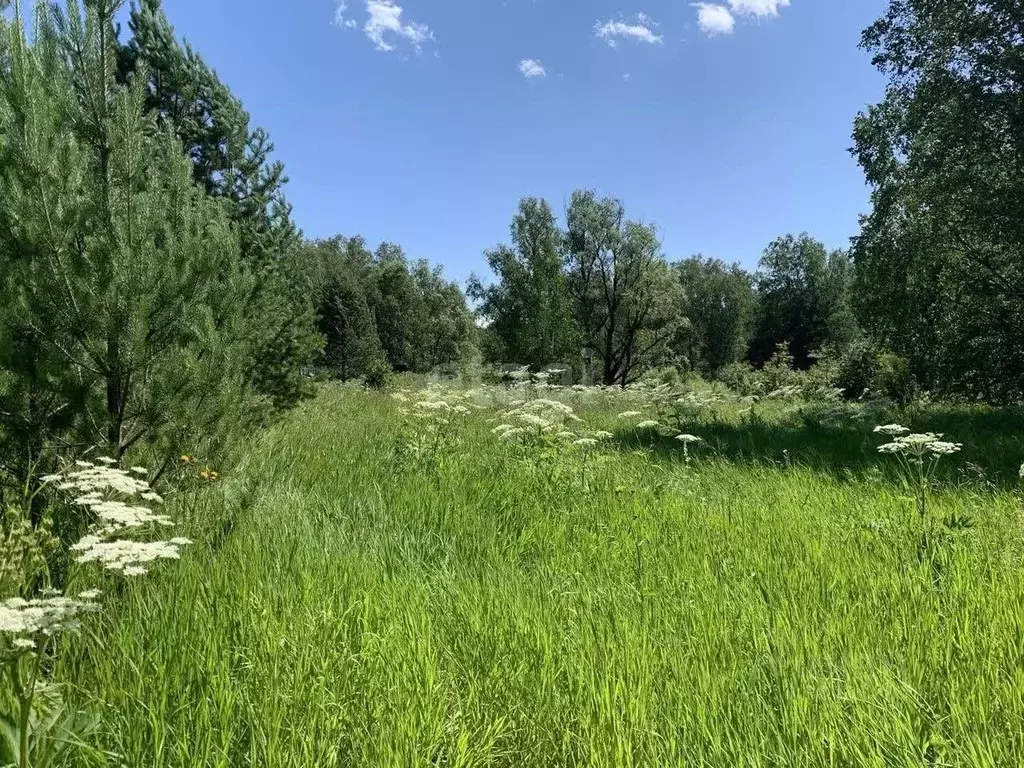 Участок в Новосибирская область, Новосибирский район, Кубовинский ... - Фото 0