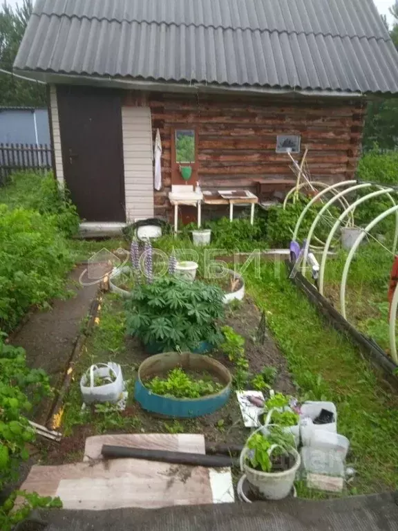 Дом в Тюменская область, с. Нижняя Тавда ул. Дружбы (25 м) - Фото 2