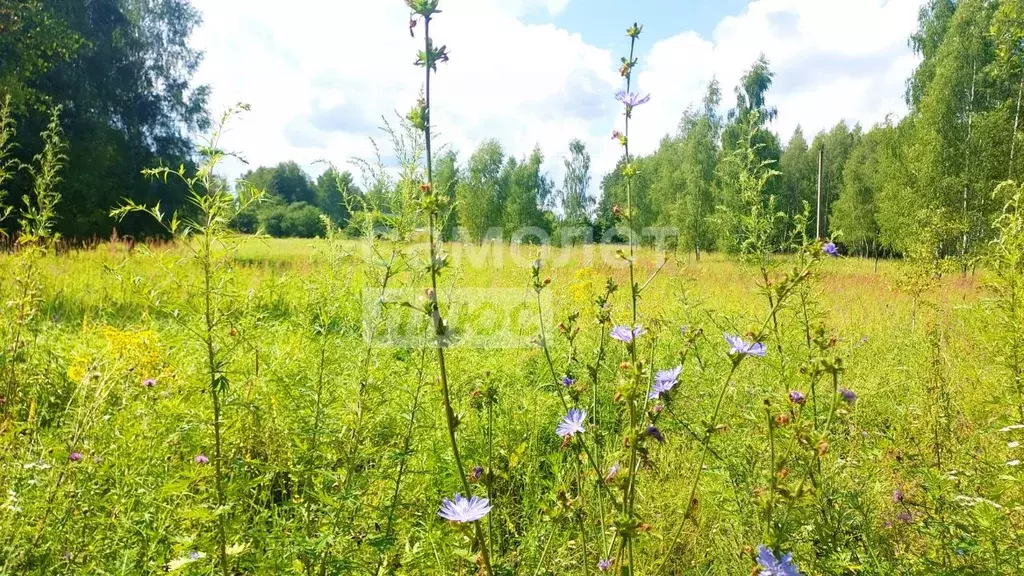 Участок в Калужская область, Дзержинский район, Угорское с/пос, д. ... - Фото 2