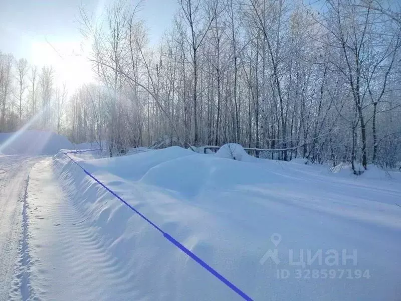 Участок в Новосибирская область, Новосибирский район, Станционный ... - Фото 1