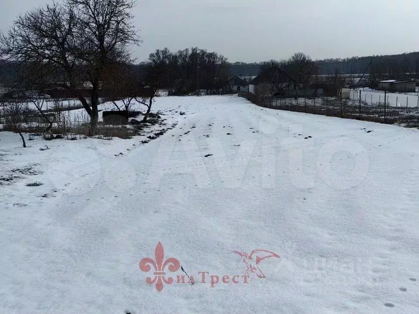 Дом в Белгородская область, Яковлевский муниципальный округ, с. ... - Фото 2