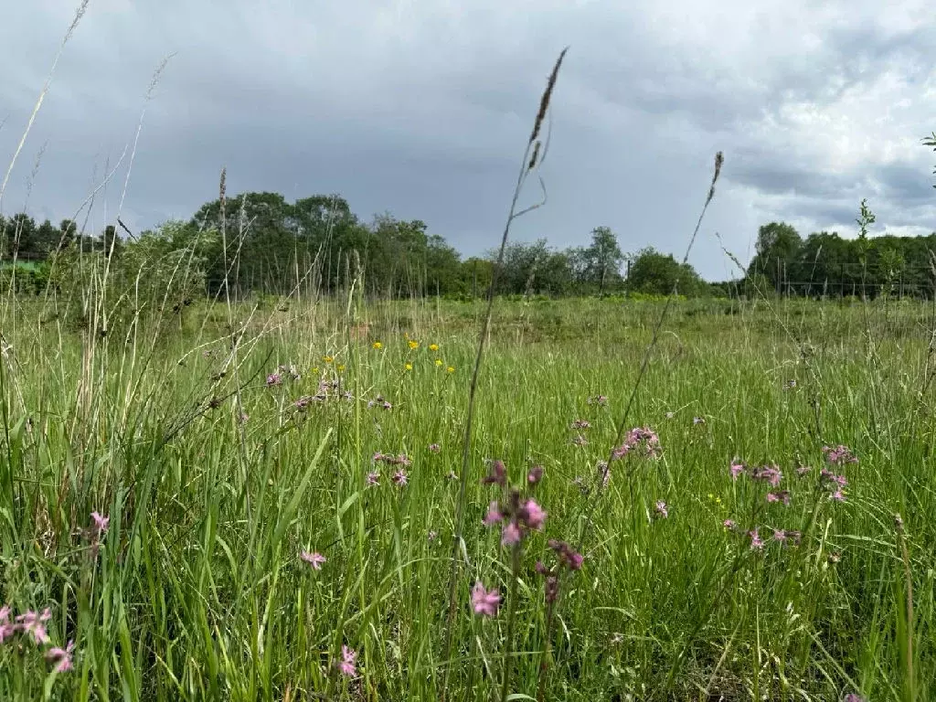 Продается участок в д. Руднево - Фото 1