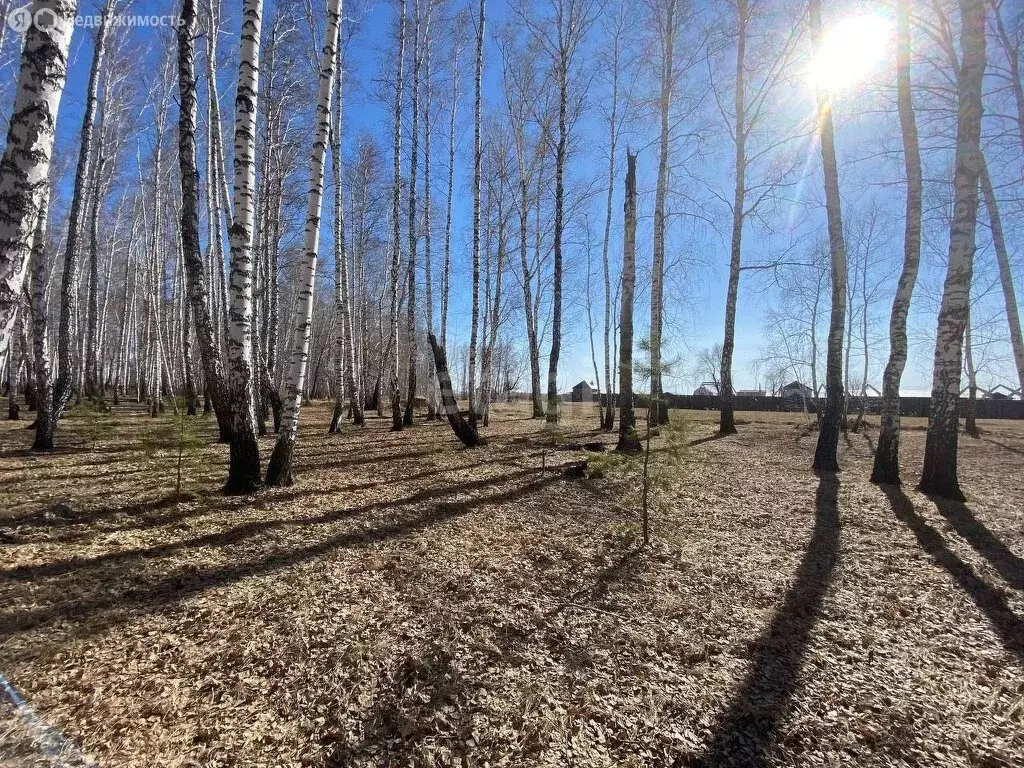 участок в курганская область, кетовский муниципальный округ, деревня . - Фото 1