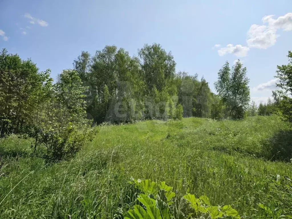 Участок 14,55 га (СНТ, ДНП) - Фото 0