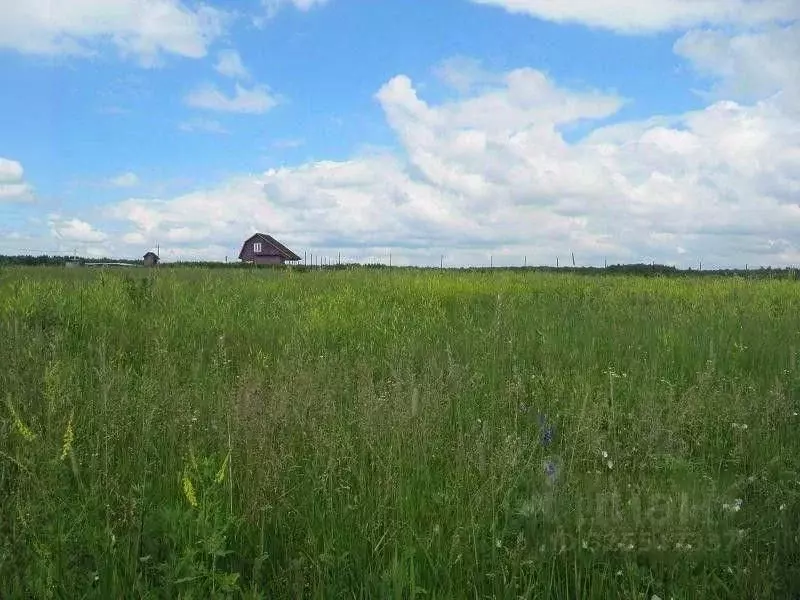 Участок в Московская область, Пушкинский городской округ, ... - Фото 1