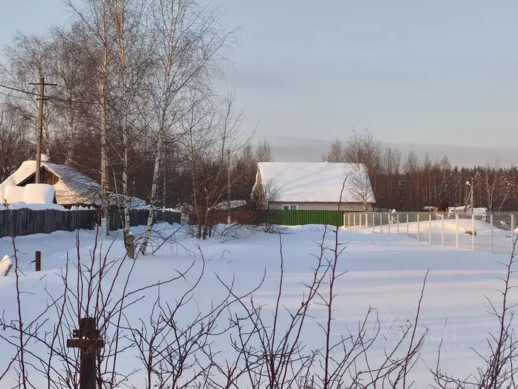 Участок в Московская область, Шатура муниципальный округ, Мишеронский ... - Фото 2
