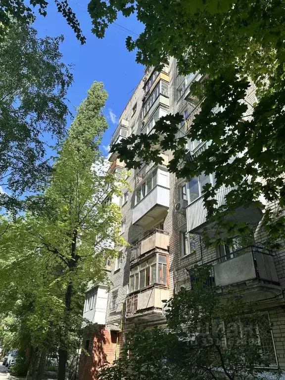 Студия Саратовская область, Саратов ул. 2-я Садовая, 36/40 (33.5 м) - Фото 1