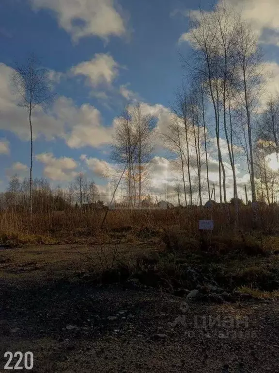 Участок в Московская область, Дмитровский муниципальный округ, ... - Фото 1