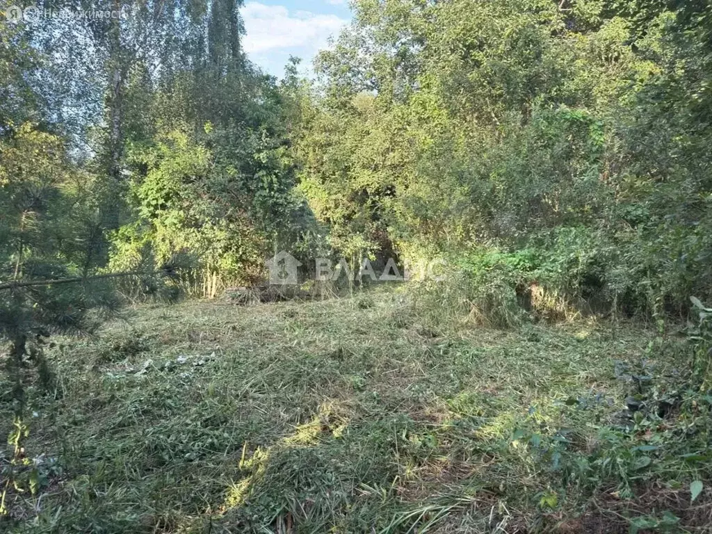 Участок в Московская область, городской округ Коломна, деревня Речки ... - Фото 2