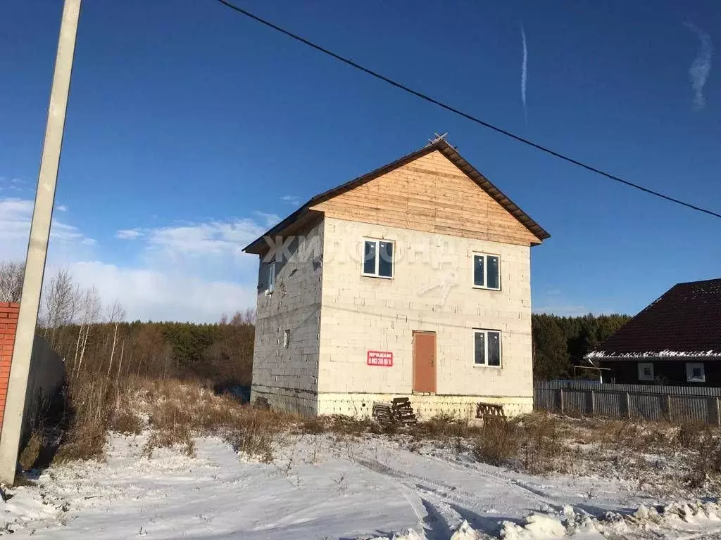 Коттедж в Новосибирская область, Колывань рп ул. Карьерная (130 м) - Фото 0