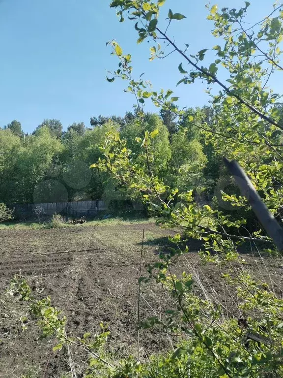 Участок 10 сот. (ИЖС) - Фото 0