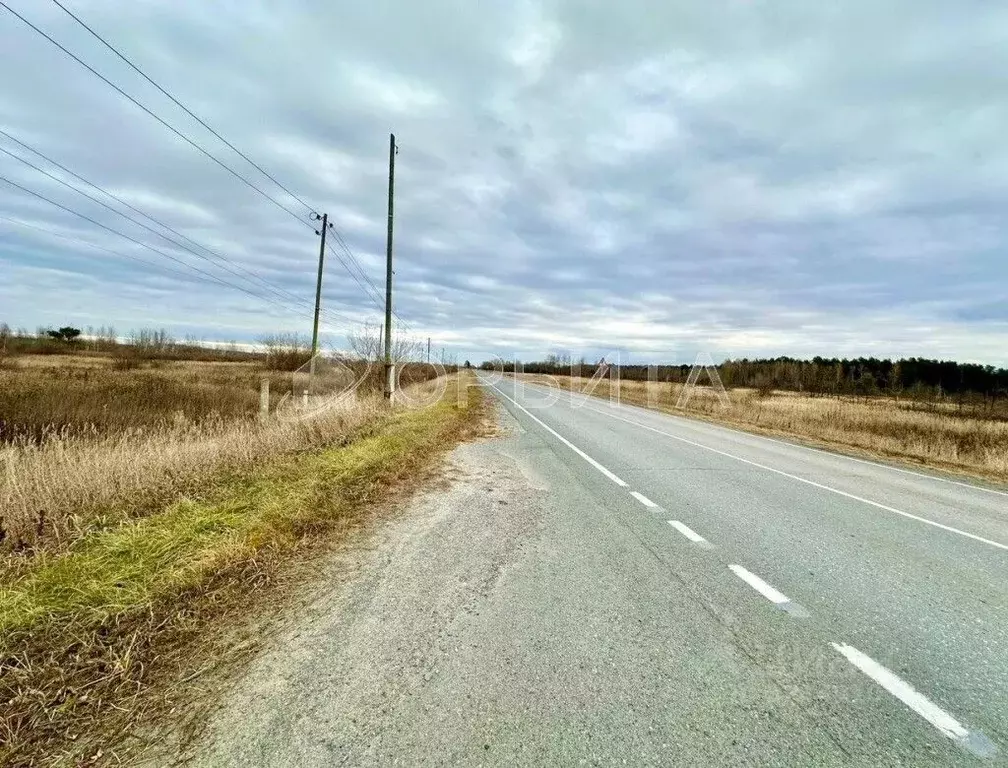 Участок в Тюменская область, Тюменский муниципальный округ, с. ... - Фото 1