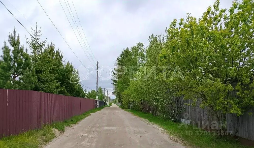 Участок в Тюменская область, Нижнетавдинский район, Здоровье-3 СТ ул. ... - Фото 1