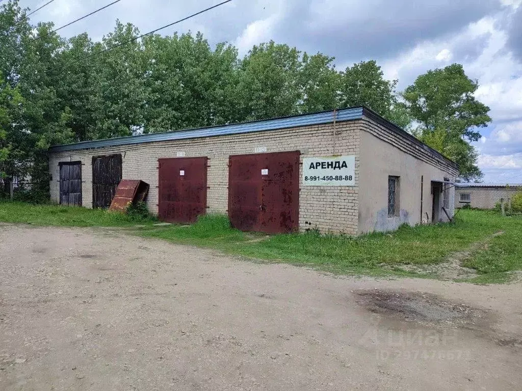 Помещение свободного назначения в Кировская область, Пижанка пгт ул. ... - Фото 1