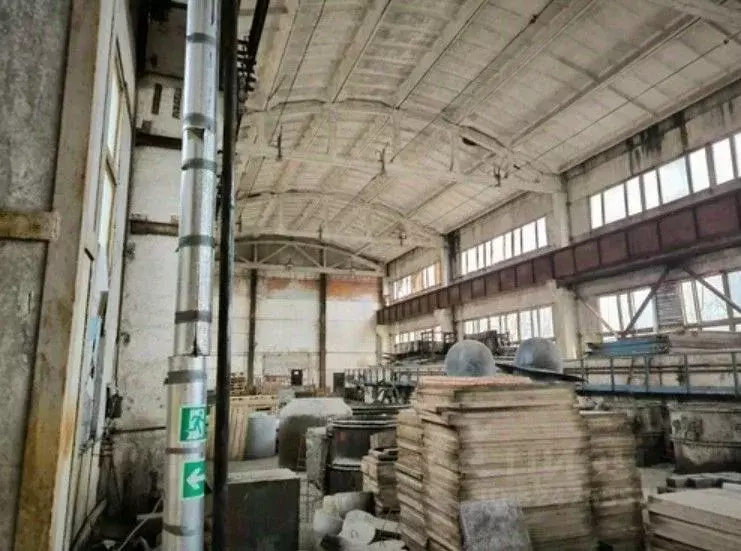 Производственное помещение в Ленинградская область, Приозерск ул. ... - Фото 1