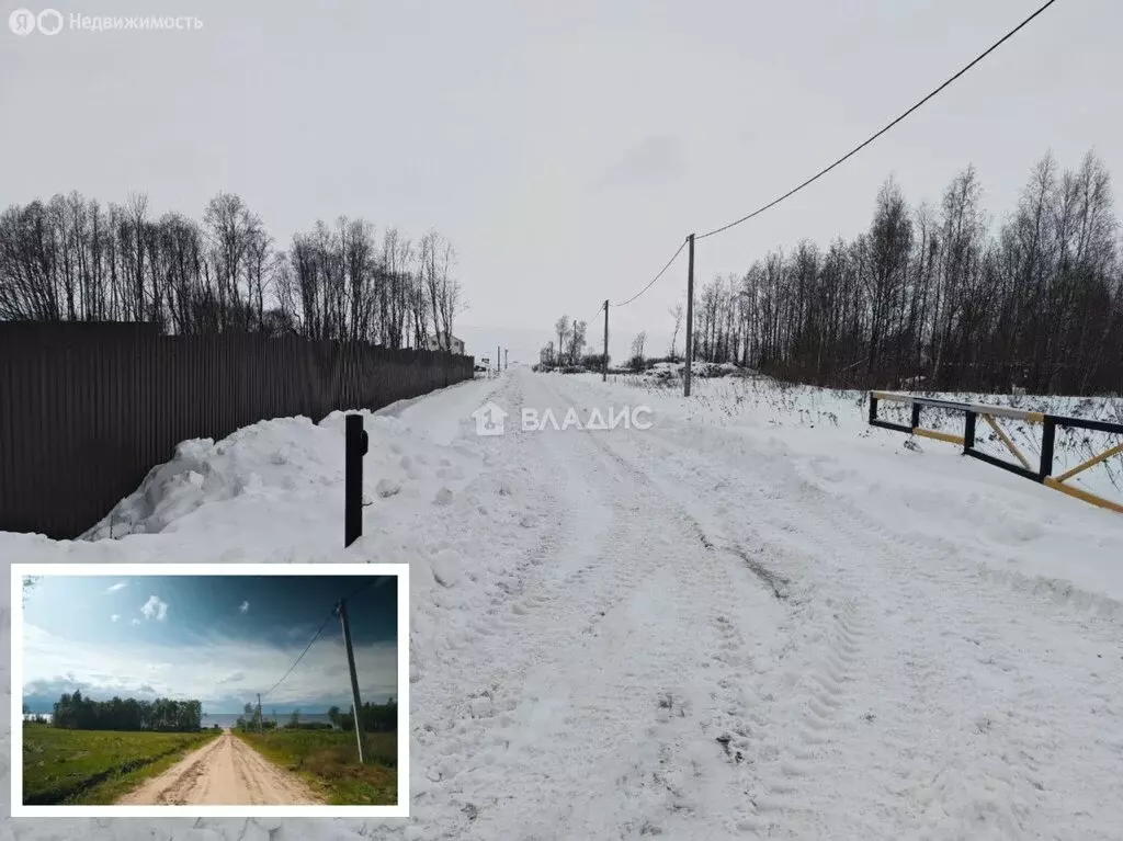 Участок в Ярославская область, Рыбинский муниципальный округ, деревня ... - Фото 1