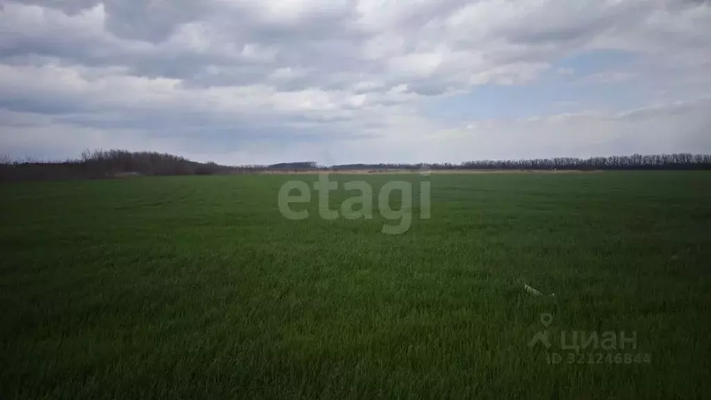 Участок в Ростовская область, Мясниковский район, Красный Крым хут. ... - Фото 0