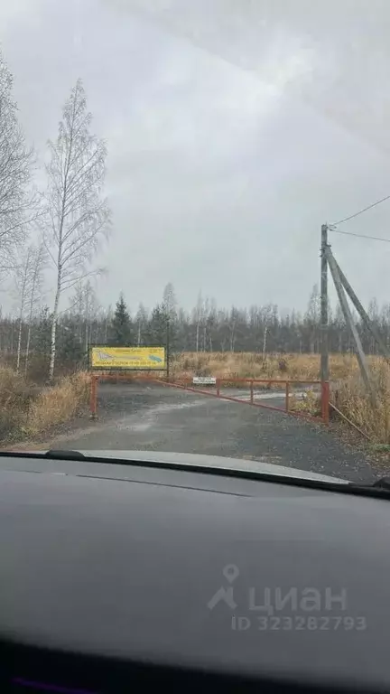 Участок в Ленинградская область, Всеволожский район, Куйвозовское ... - Фото 1