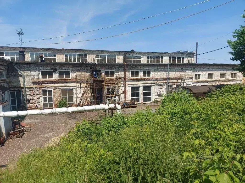 Помещение свободного назначения в Мордовия, пос. Ромоданово ш. ... - Фото 1