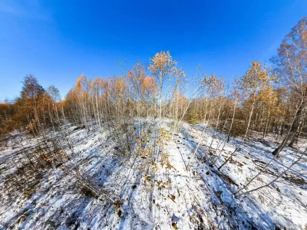 Участок в Тюменская область, Тюменский район, с. Перевалово Сиреневая ... - Фото 0