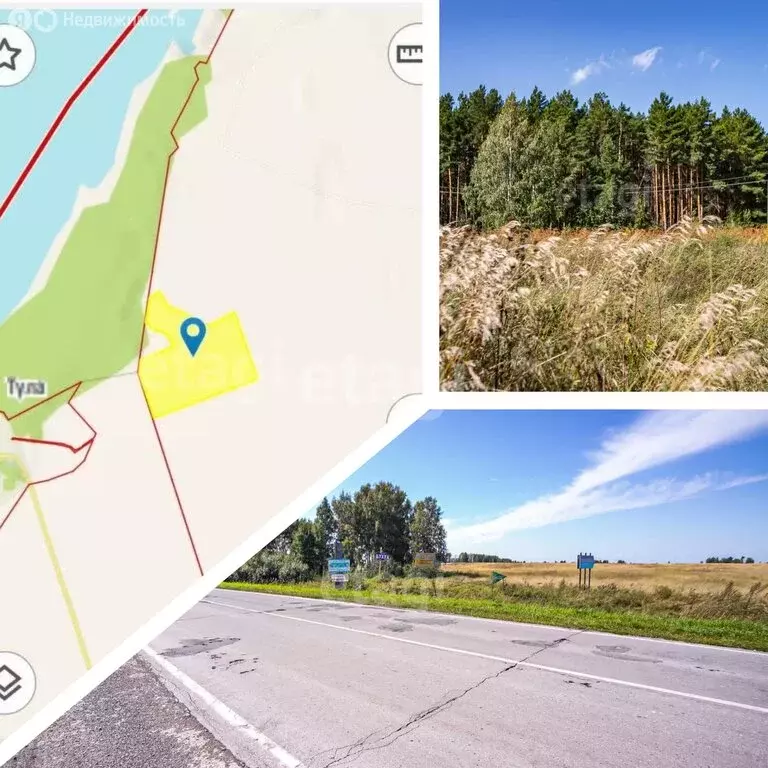 Участок в Искитимский район, деревня Бурмистрово (5000 м) - Фото 0