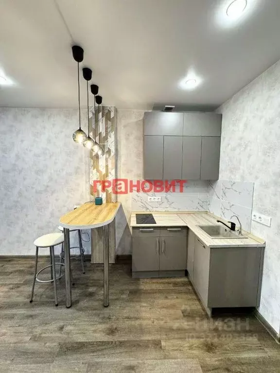 Студия Новосибирская область, Новосибирск Светлановская ул., 52 (28.0 ... - Фото 2