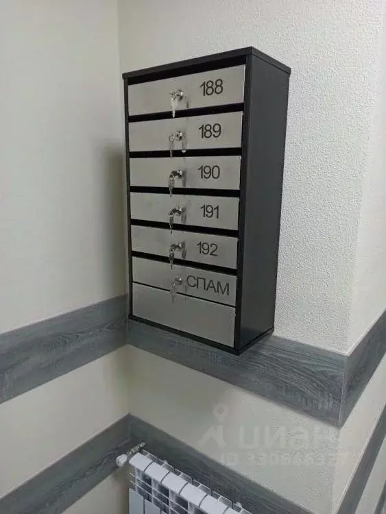 Студия Омская область, Омск ул. Богдана Хмельницкого, 38/2 (31.9 м) - Фото 2