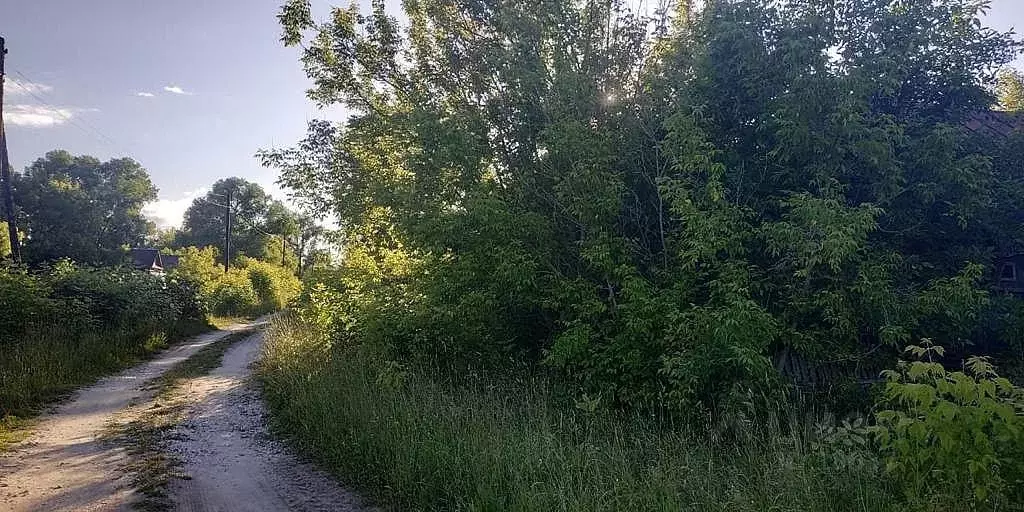 Дом в Владимирская область, Меленковский район, д. Дубровка  (20 м) - Фото 0