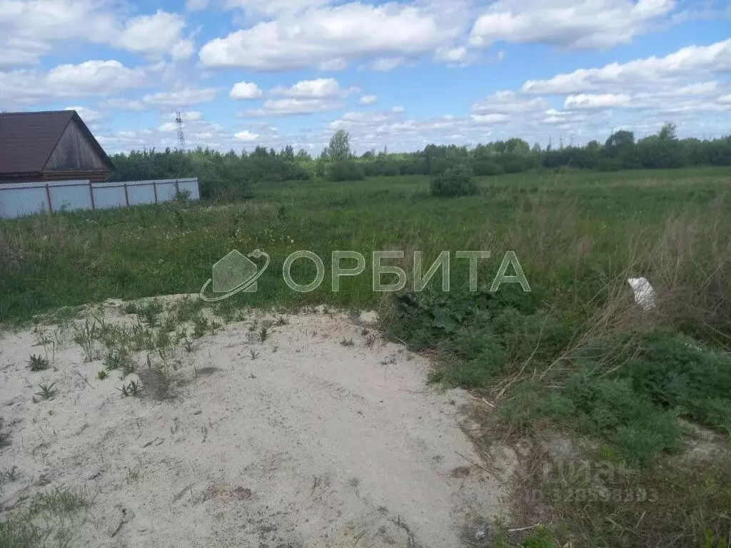 Участок в Тюменская область, Тюмень Царево садовое товарищество, ул. ... - Фото 1