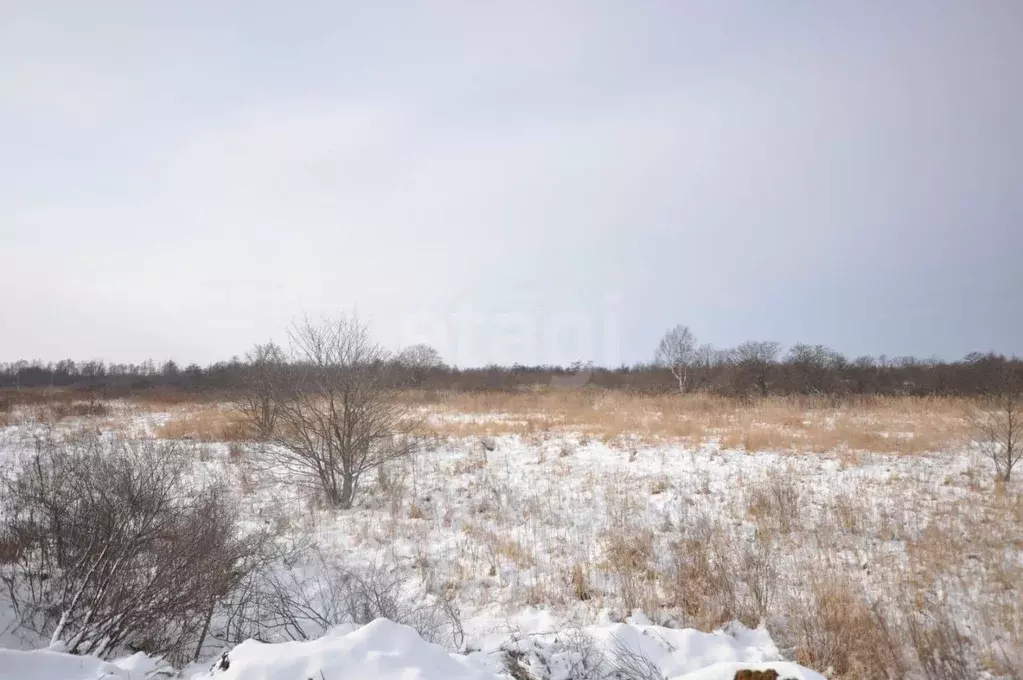 Участок в Сахалинская область, Анивский городской округ, с. Мицулевка  ... - Фото 1