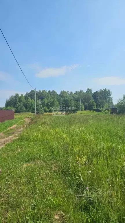 Участок в Московская область, Богородский городской округ, д. Дядькино ... - Фото 1