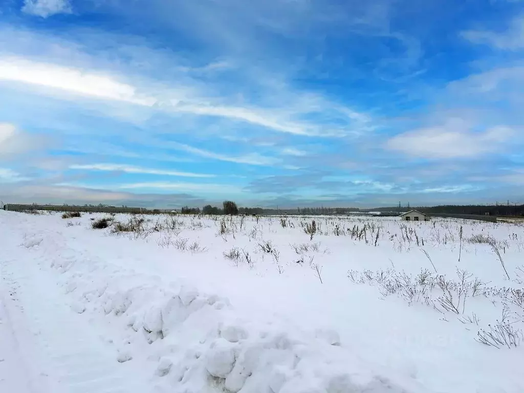 Участок в Московская область, Домодедово Кузьминское Парк кп, 70 (10.3 ... - Фото 2