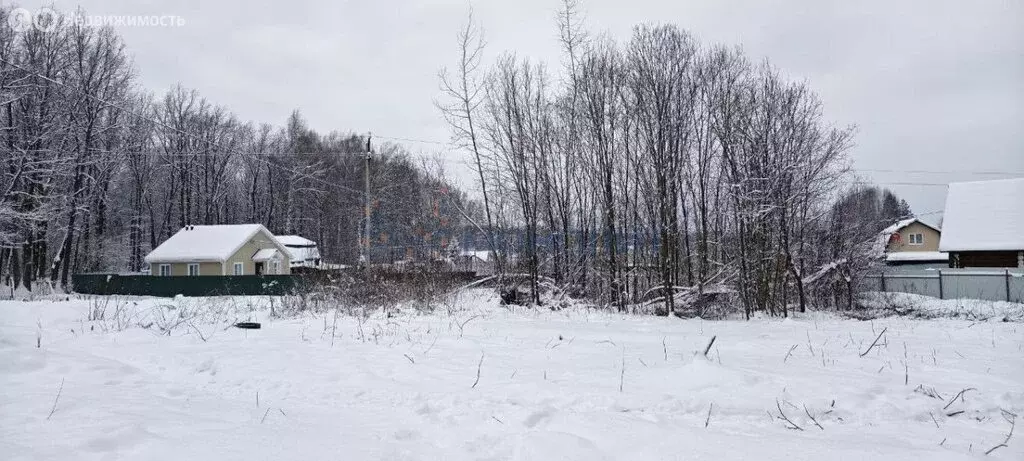 Участок в Нижегородская область, Богородский муниципальный округ (6.15 ... - Фото 2