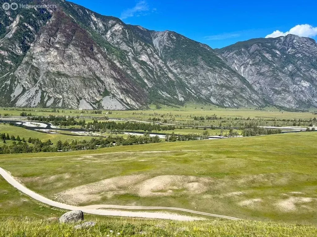 Участок в Улаганский район, село Кок-Паш (37 м) - Фото 0