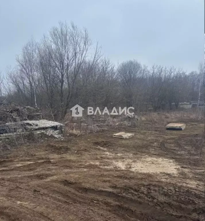 Участок в Владимирская область, Лакинск г. Собинский муниципальный ... - Фото 2