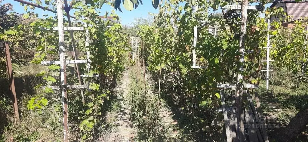 Участок в Краснодарский край, Северский район, Смоленское с/пос, ... - Фото 2