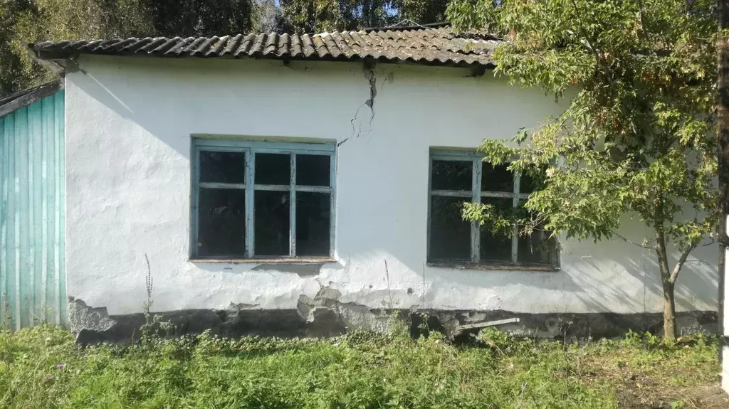 Помещение свободного назначения в Алтайский край, Советский район, с. ... - Фото 2