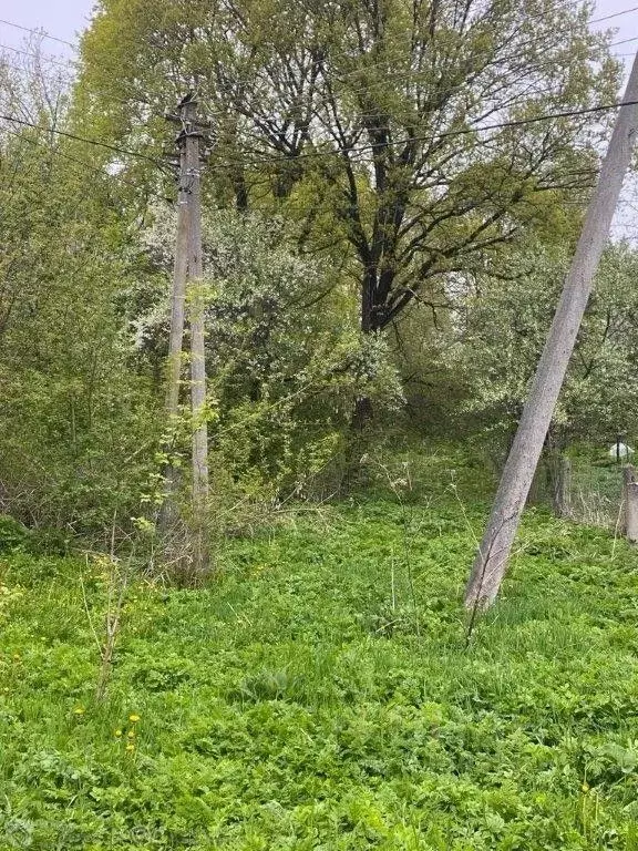 Участок в Смоленская область, Смоленск Полевая ул., 28 (18.0 сот.) - Фото 2