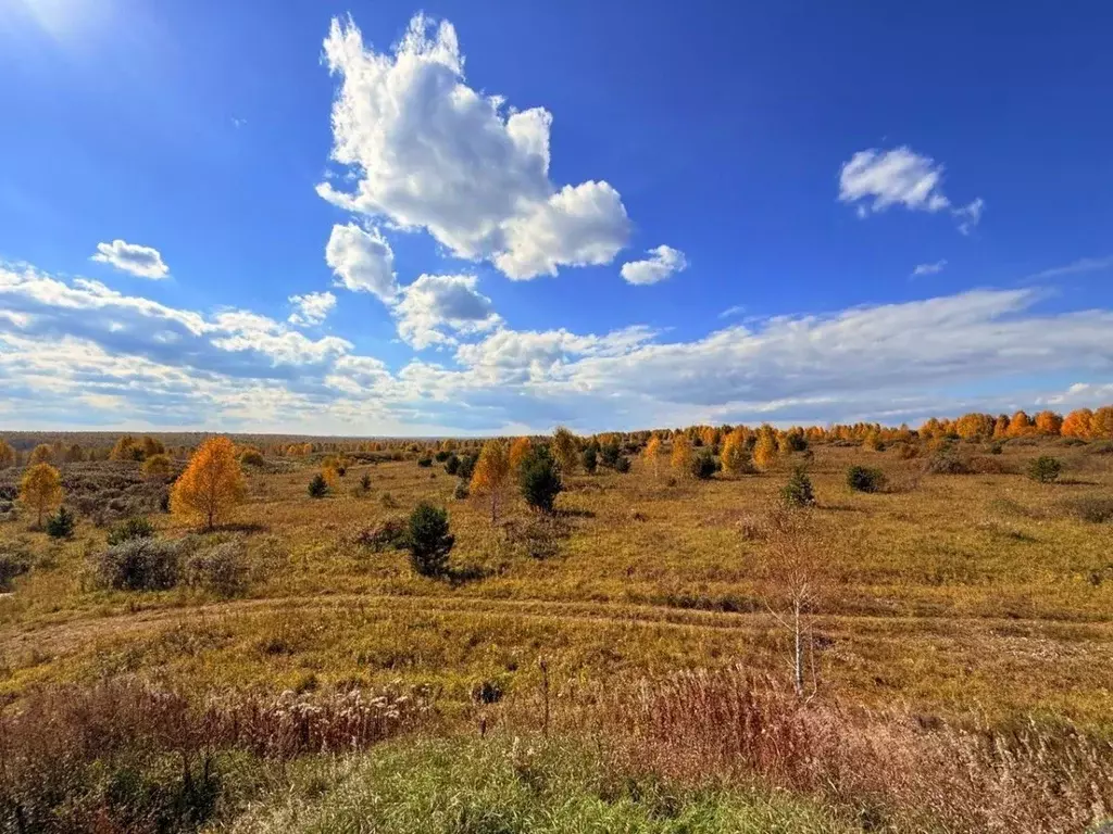 Участок в Кемеровская область, Ленинск-Кузнецкий Лучезарная ул., 13 ... - Фото 2