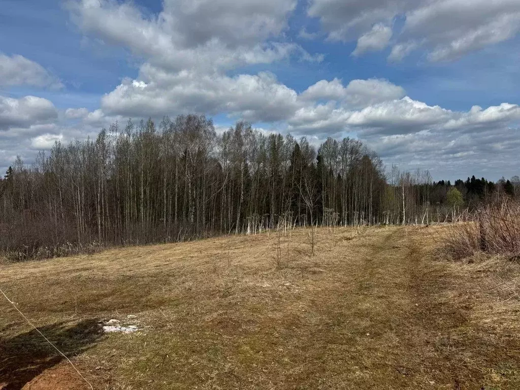 Участок в Пермский край, Краснокамский городской округ, пос. Майский ... - Фото 0