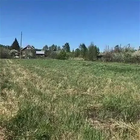 Участок в Нижегородская область, Богородский муниципальный округ, д. ... - Фото 1