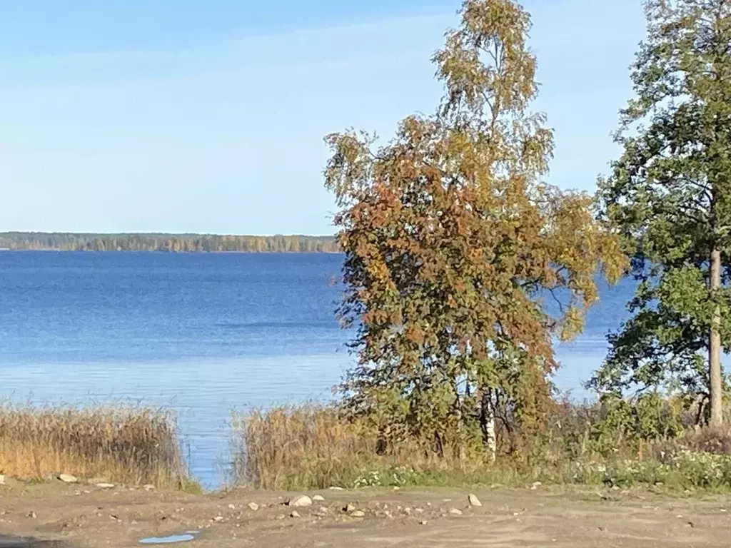 Участок в Ленинградская область, Приозерский район, Плодовское с/пос, ... - Фото 0